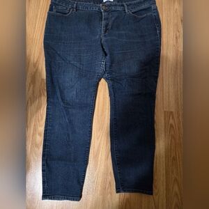 LOFT Plus Dark Wash Denim